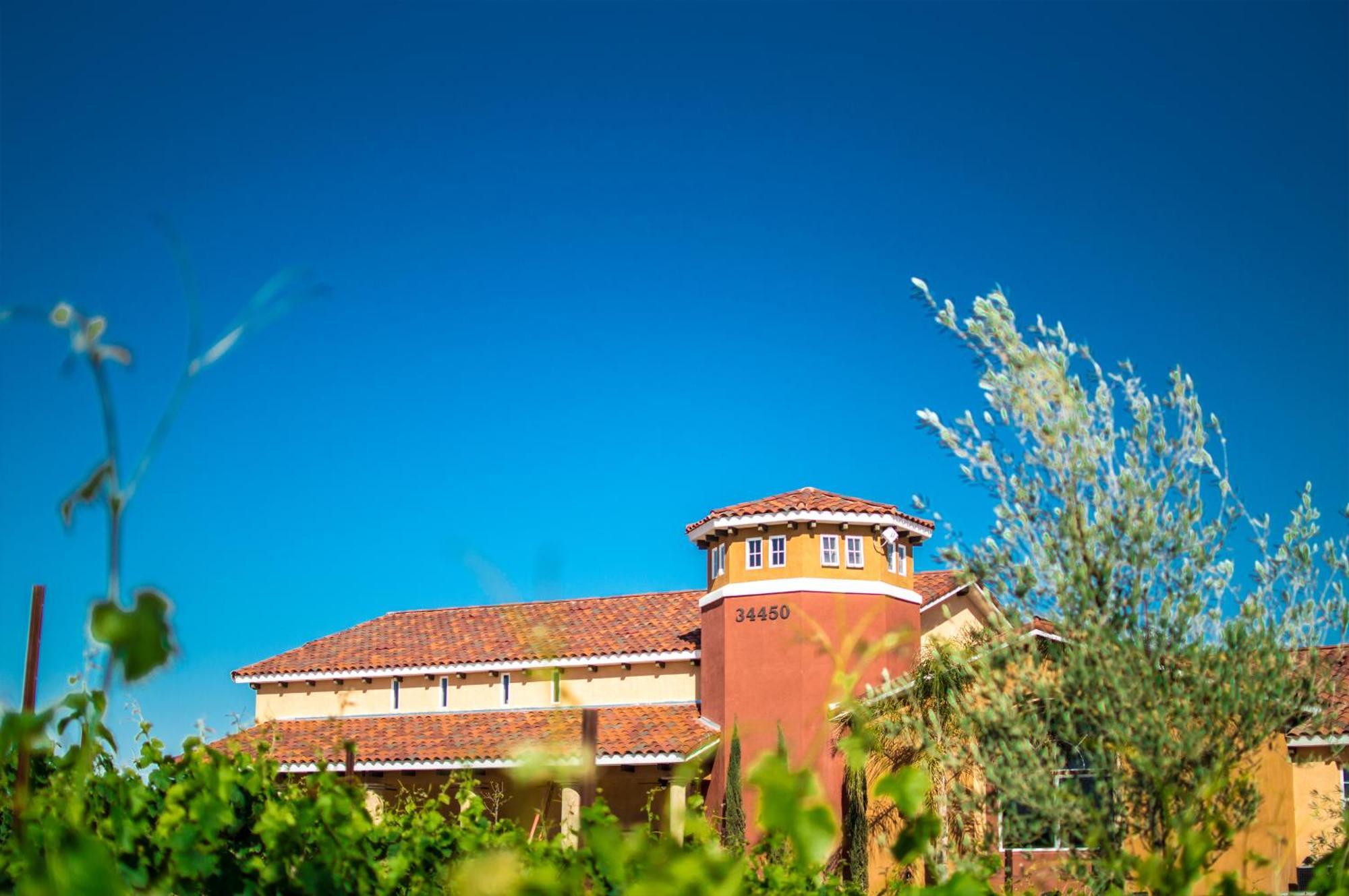 טמקולה Carter Estate Winery And Resort מראה חיצוני תמונה