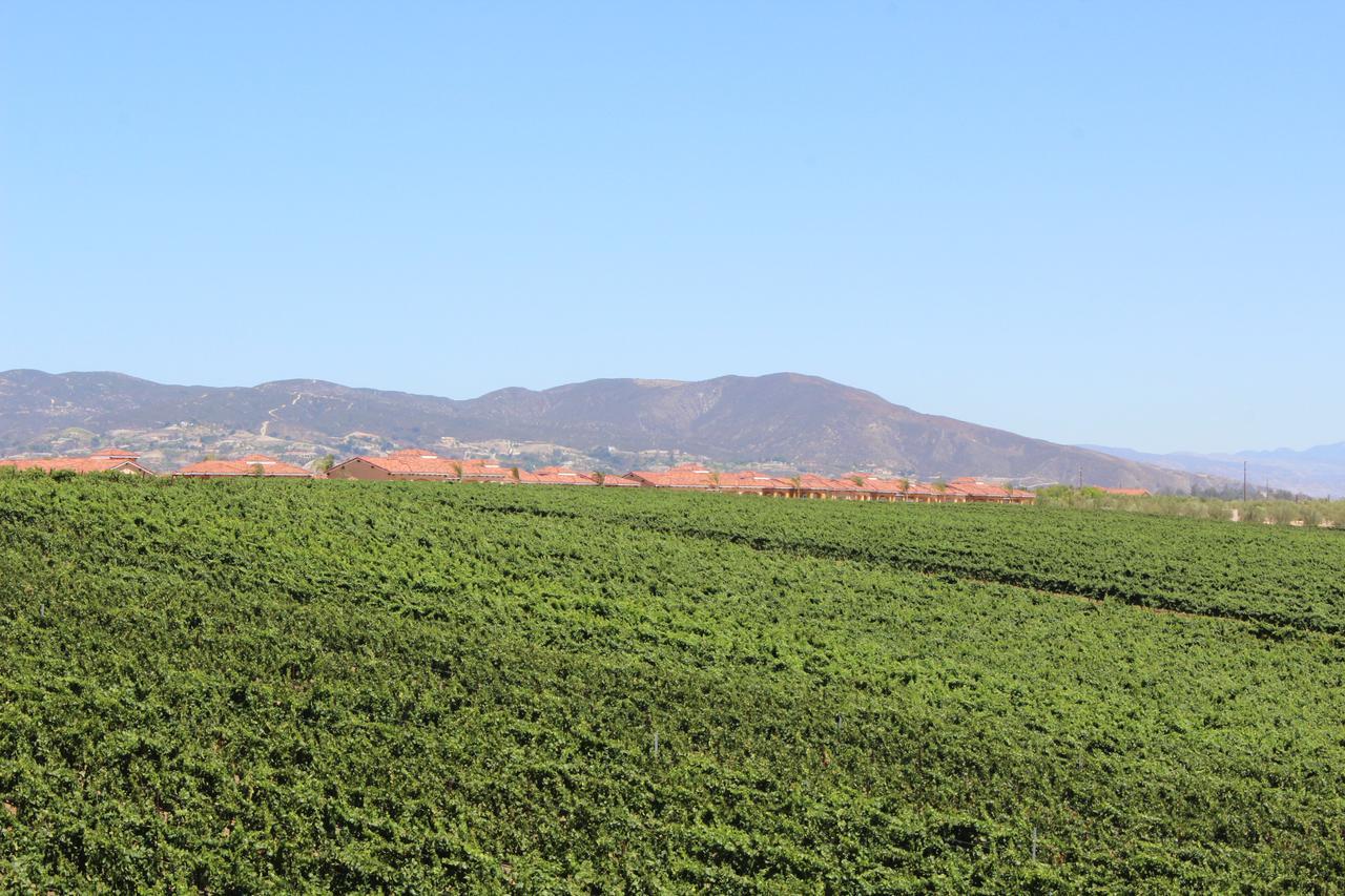 טמקולה Carter Estate Winery And Resort מראה חיצוני תמונה
